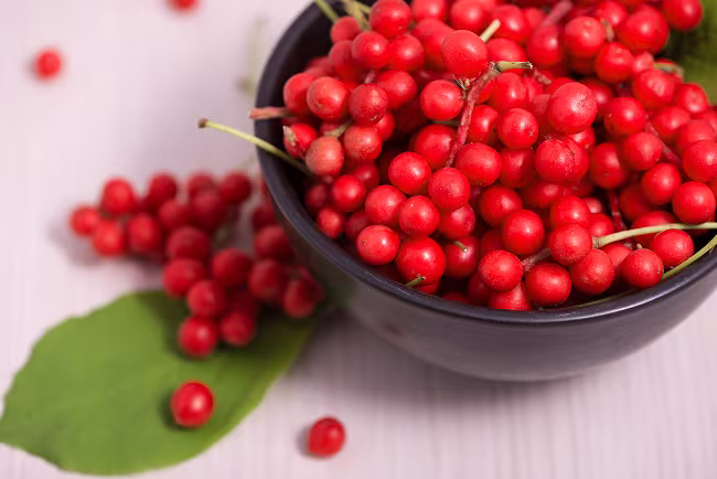 Schisandra-fruit-extract